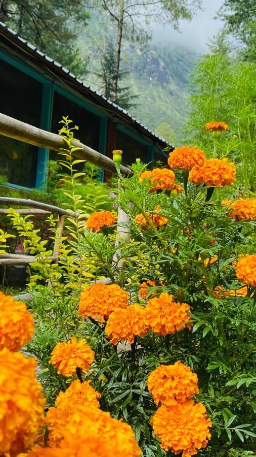Himtrek Riverside Camps, كاسول المظهر الخارجي الصورة